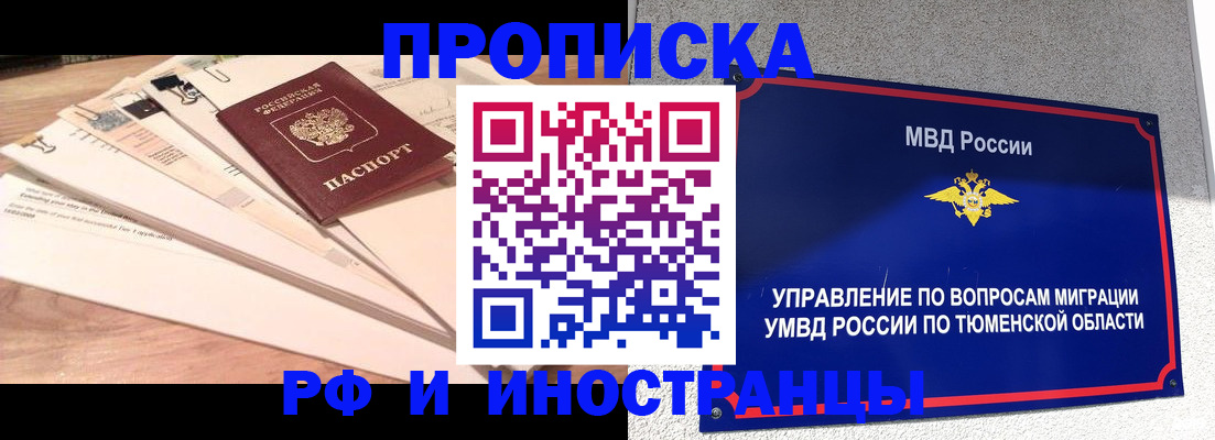 временная регистрация поиск в Железногорске